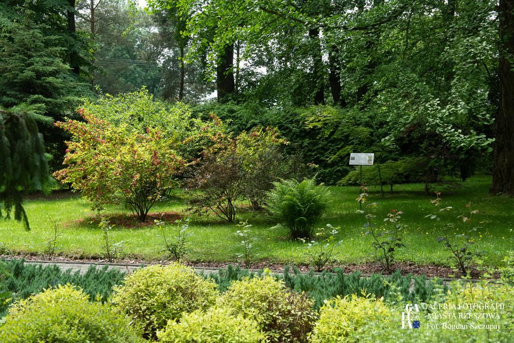 Zrewitalizowany park na os. Miłocin